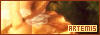 Artemis code